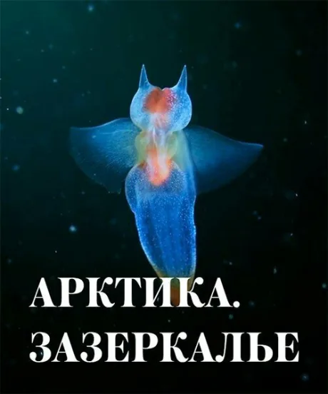 Арктика. Зазеркалье
