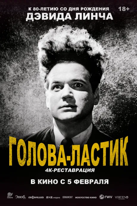 Голова-ластик