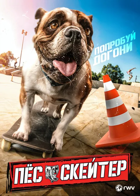 Пёс-скейтер