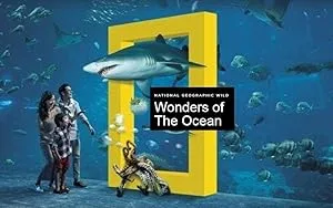 Wonders of the Ocean